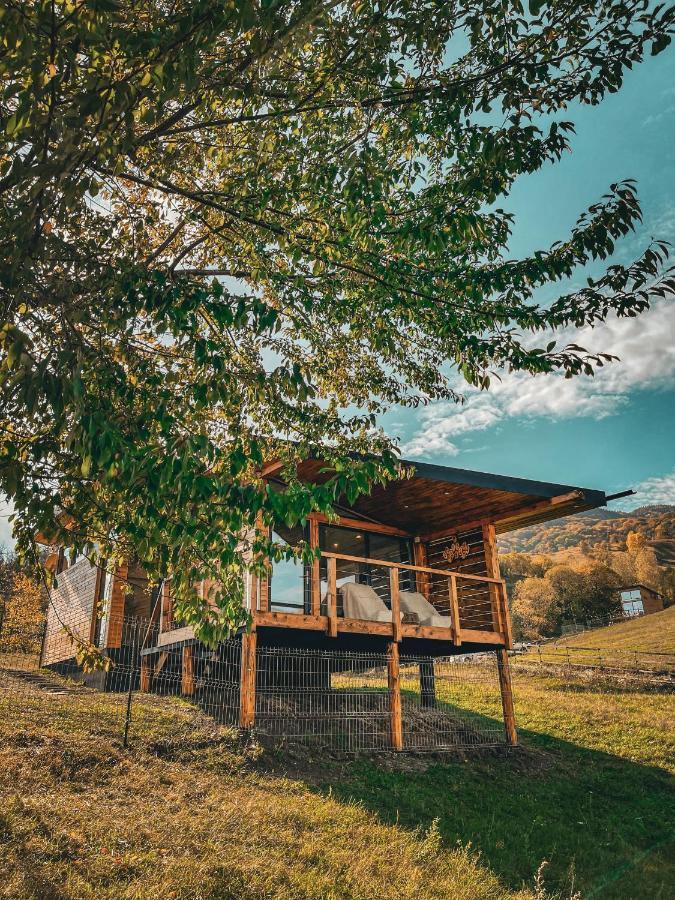 Utopia By Noratlas Heritage - Adults Only Buzau Exterior foto